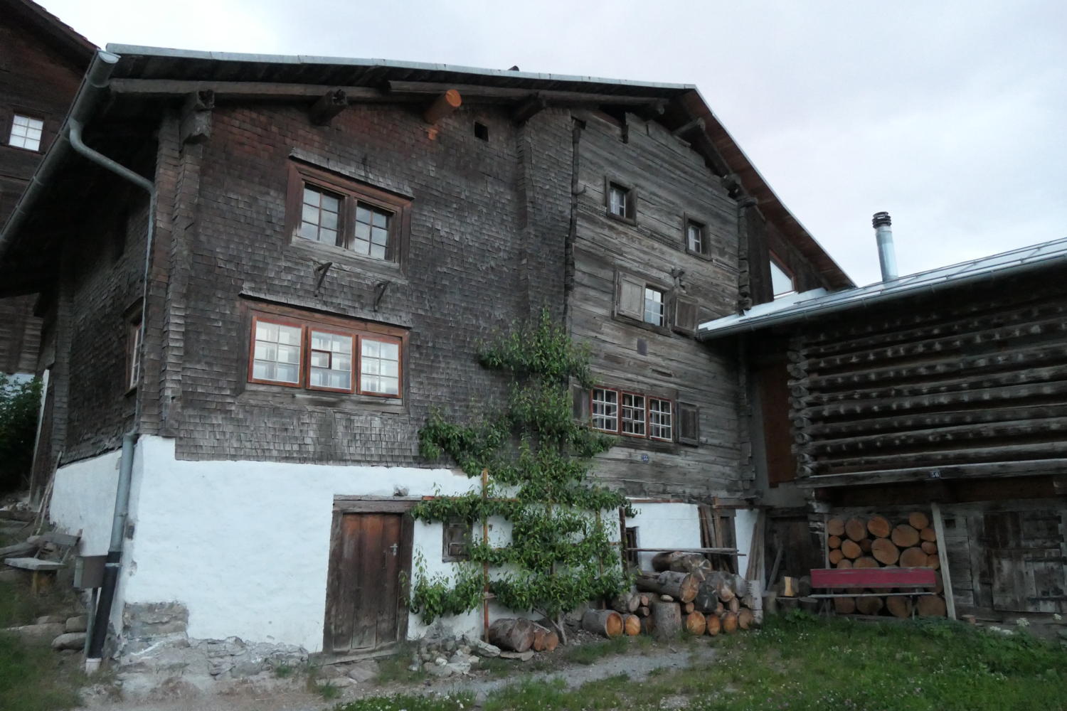 p1000571.jpg