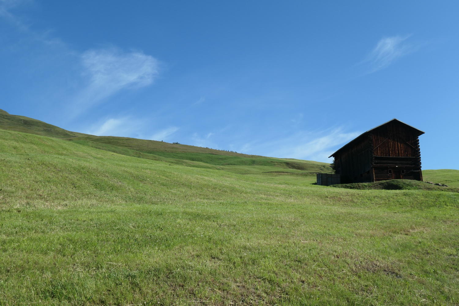 p1000574.jpg