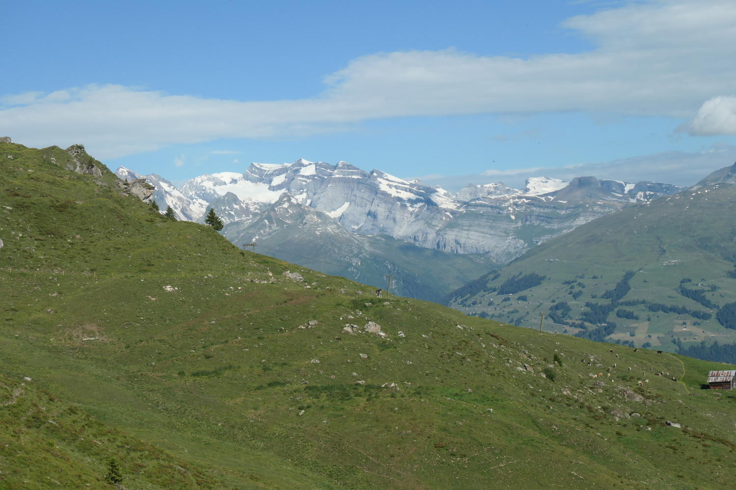 p1000577.jpg