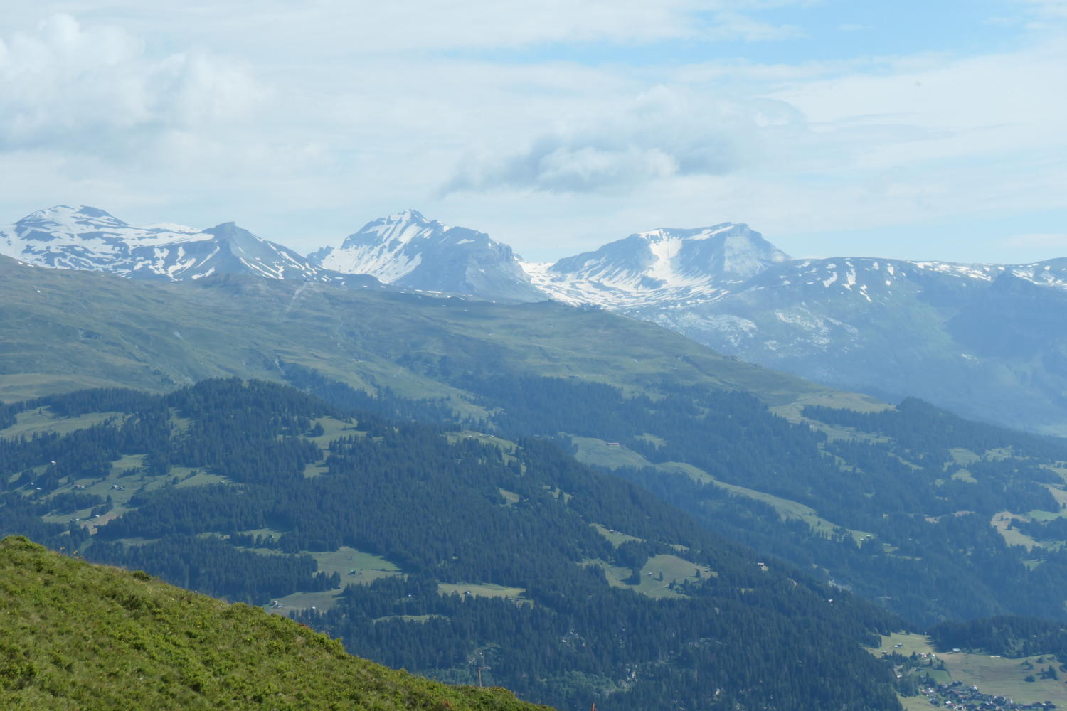 p1000580.jpg