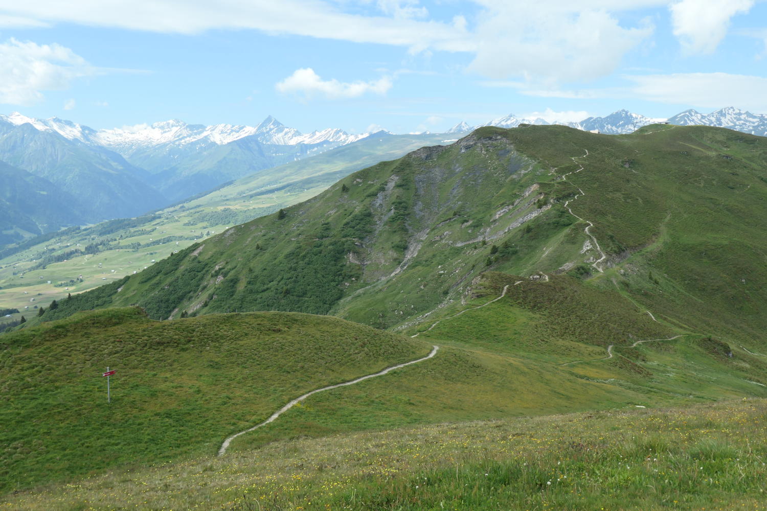 p1000583.jpg