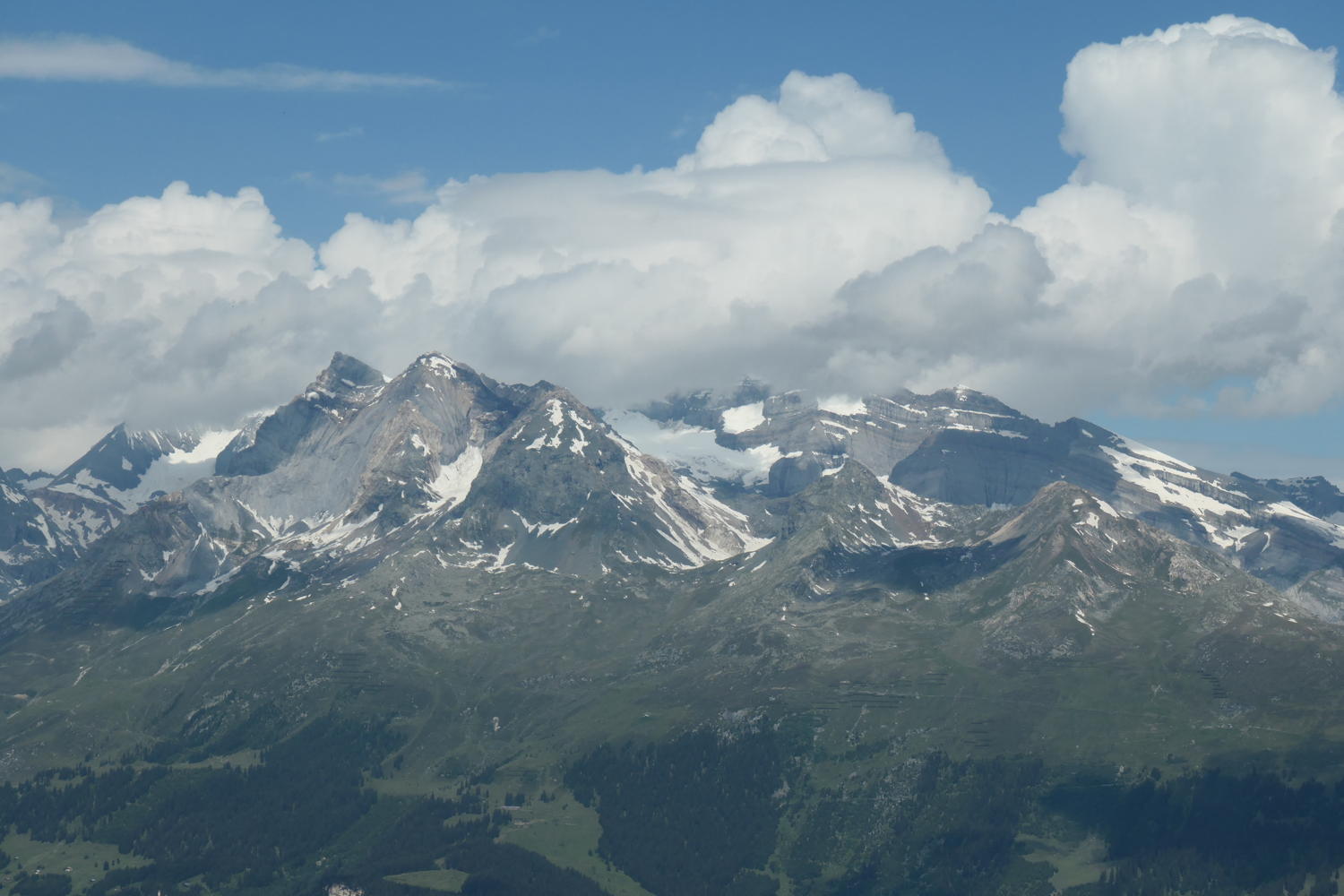 p1000585.jpg