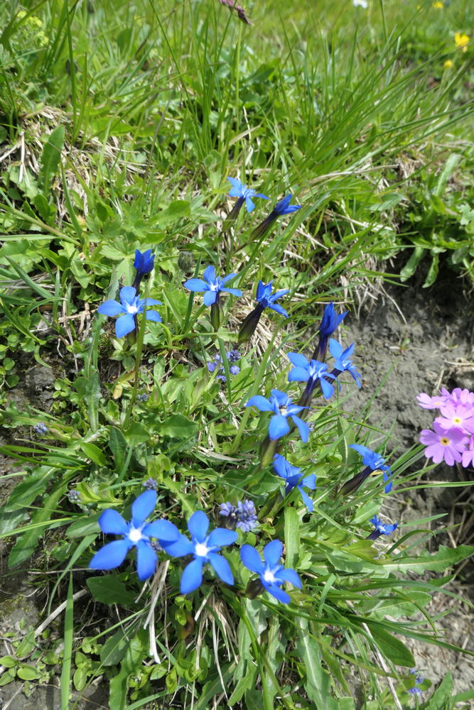 p1000588.jpg