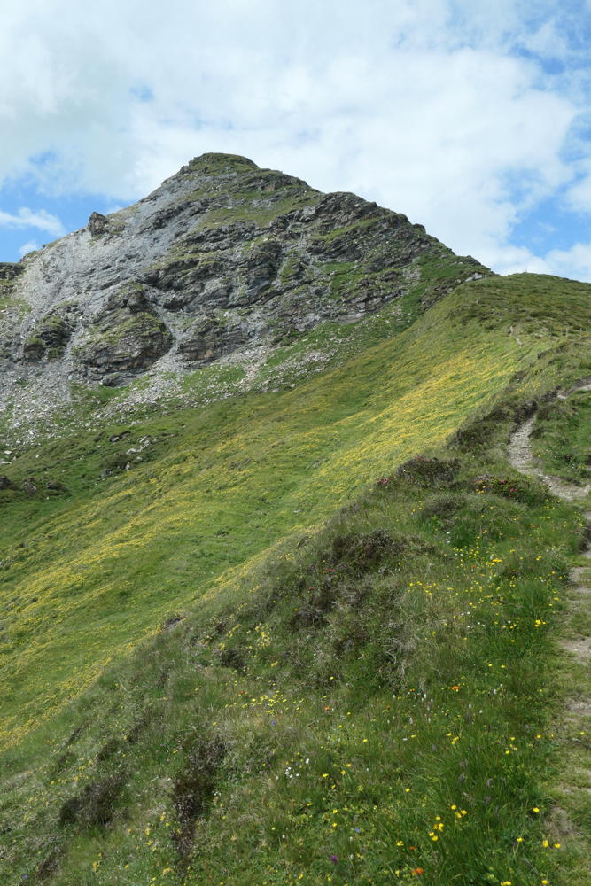 p1000589.jpg