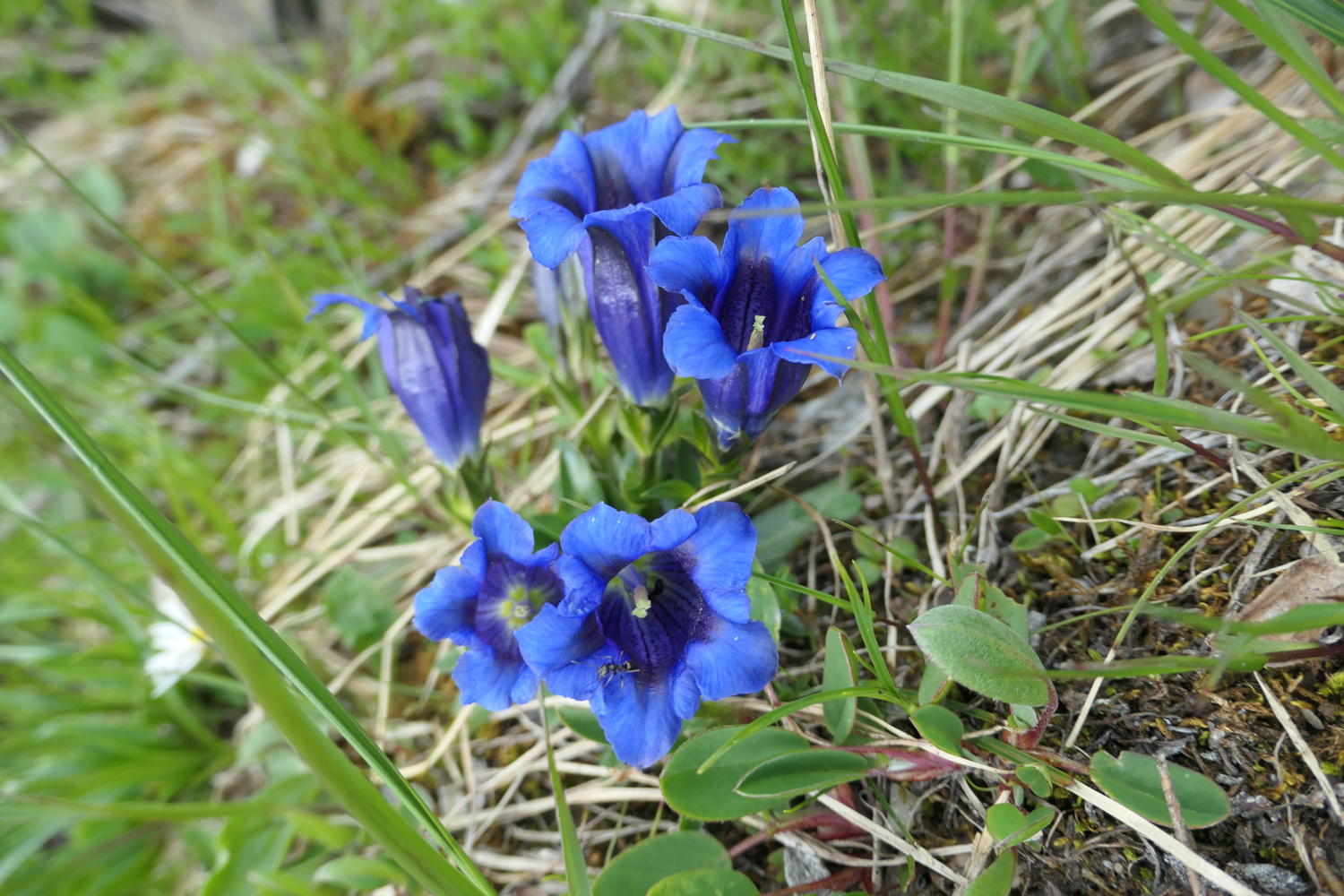 p1000590.jpg