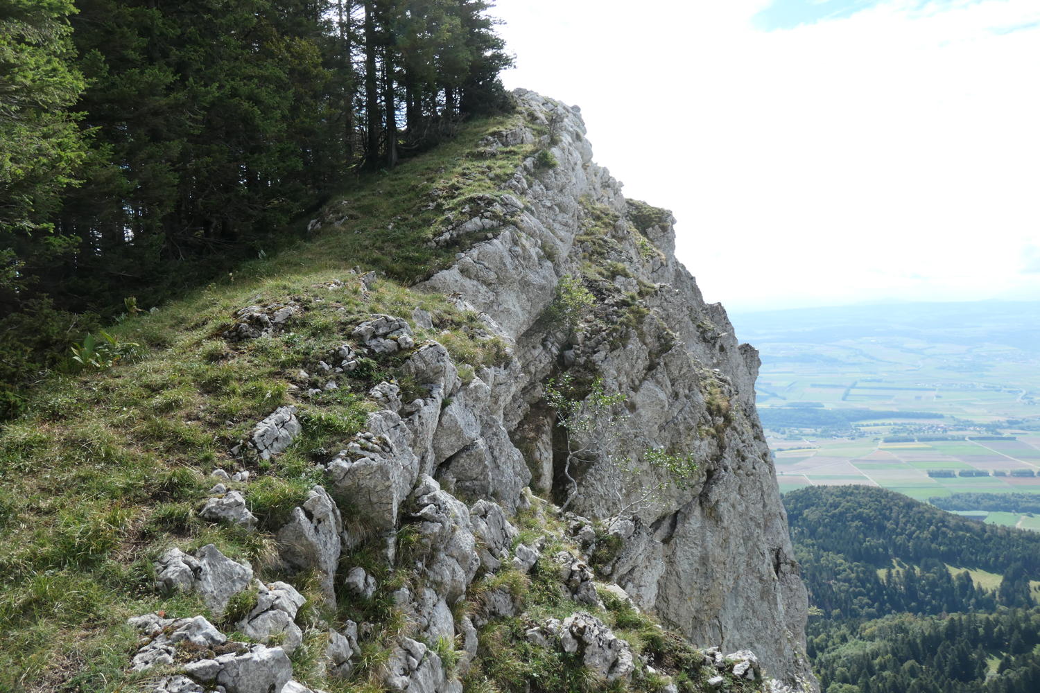 p1000983.jpg