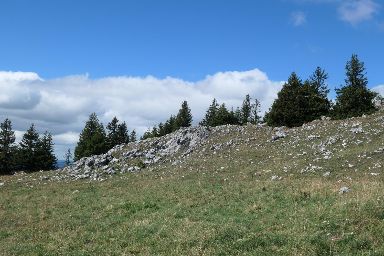 p1001002.jpg