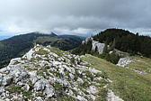 p1000988.jpg