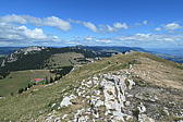 p1001000.jpg