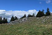 p1001002.jpg