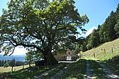 p1001005.jpg