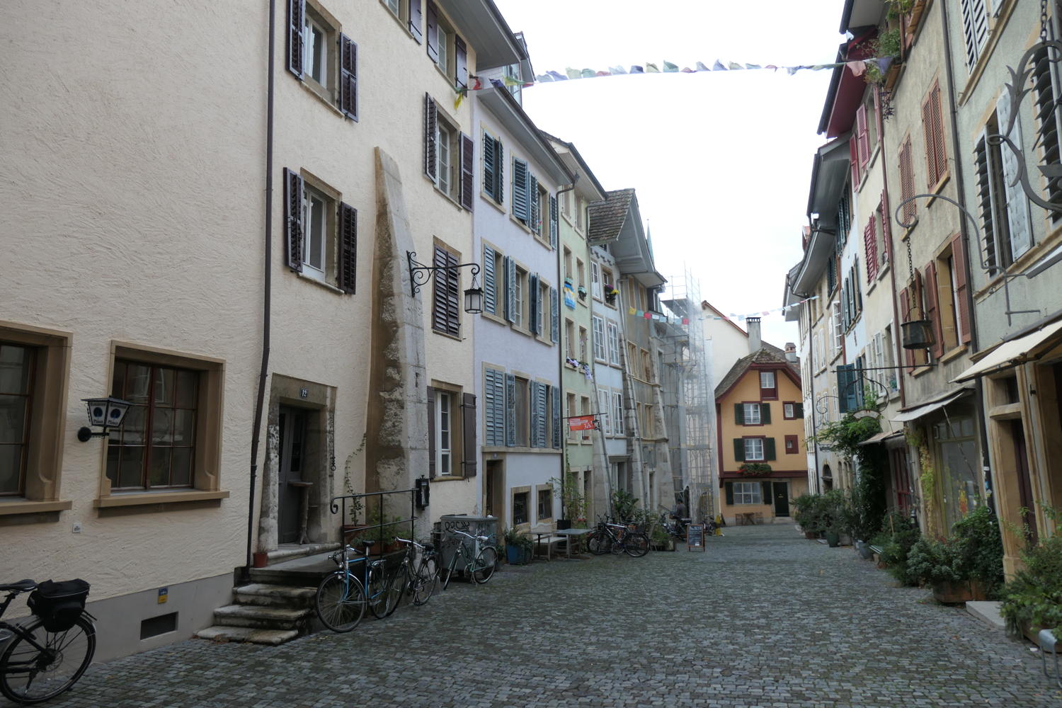 p1001047.jpg