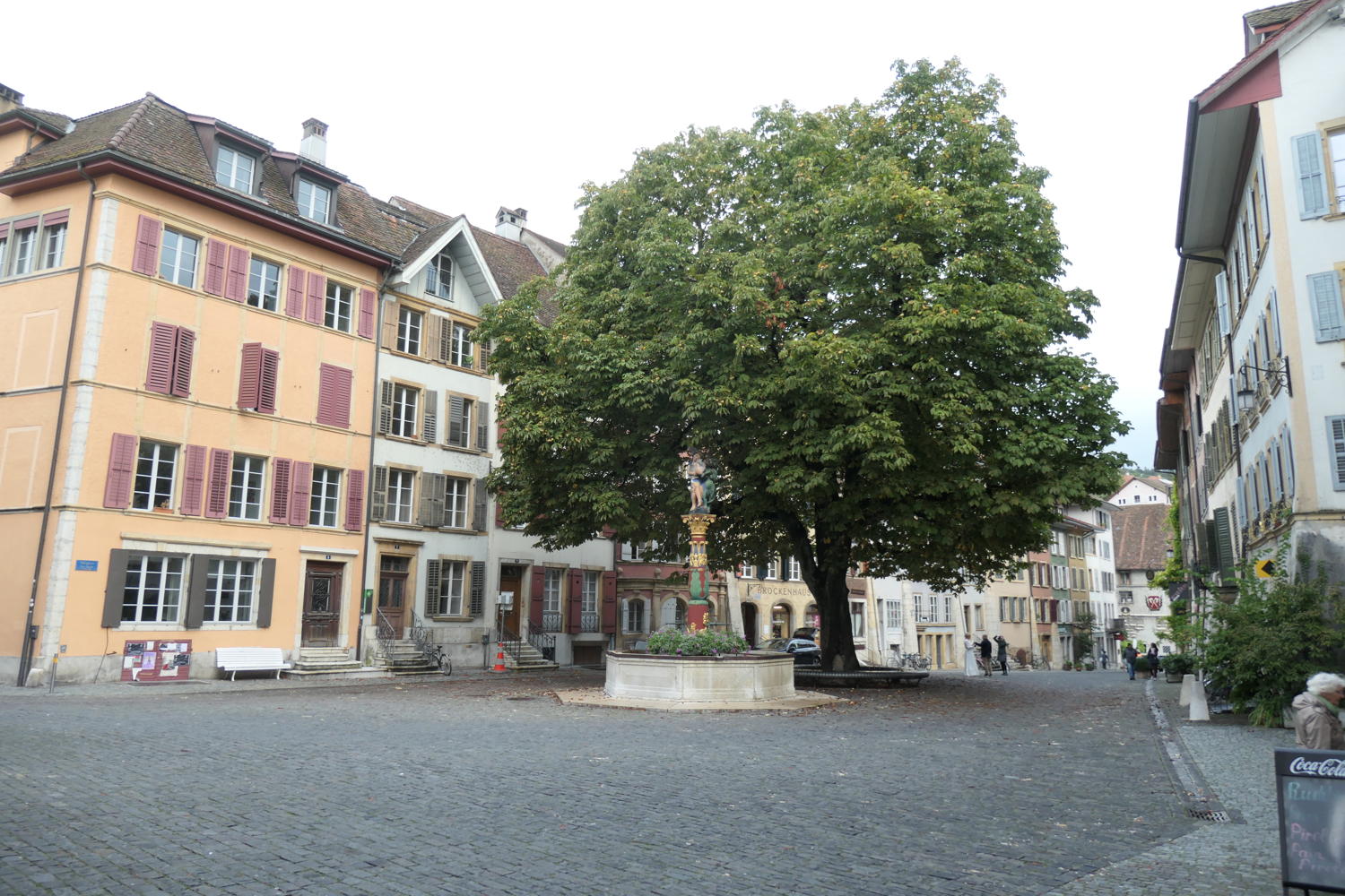 p1001049.jpg