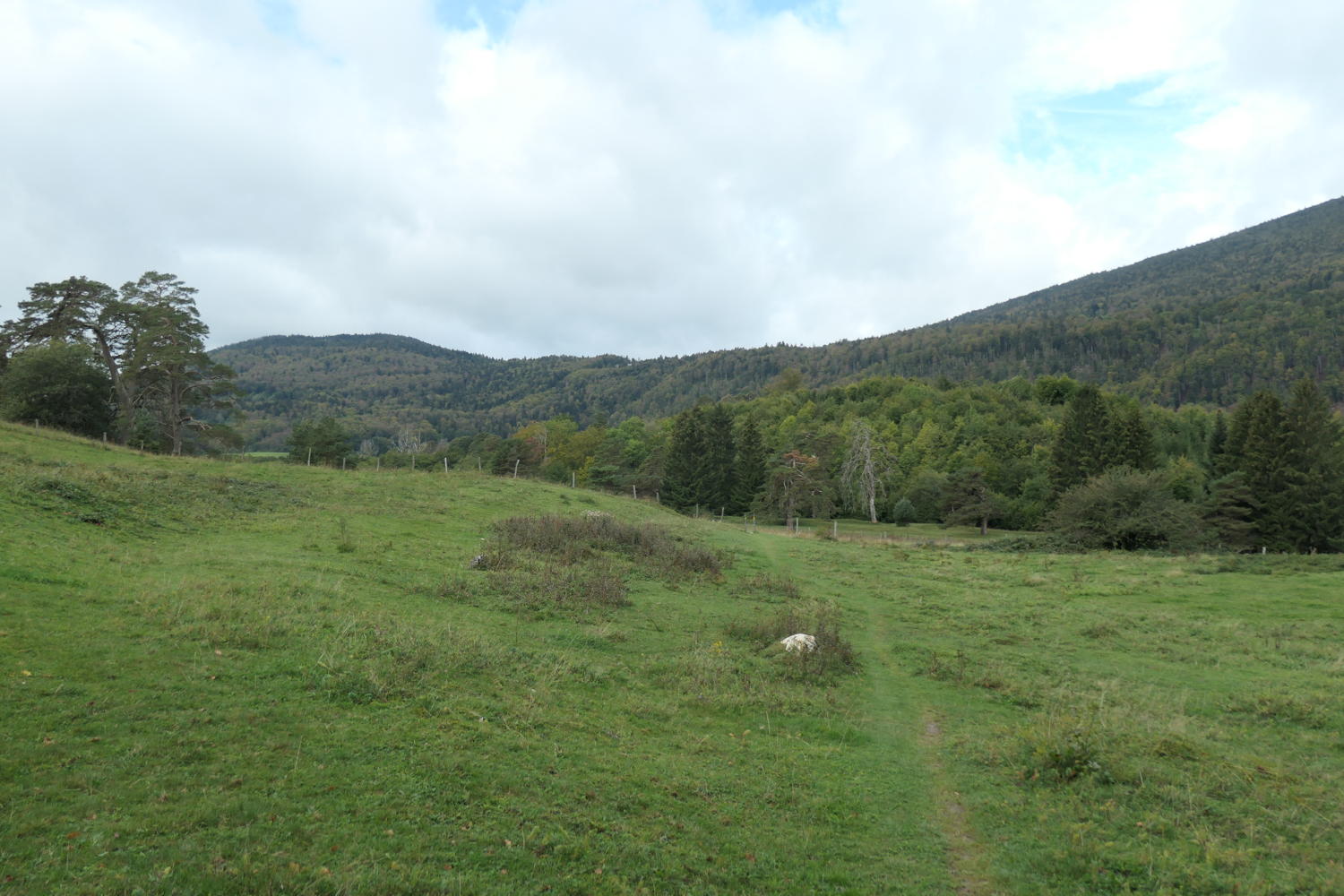 p1001051.jpg