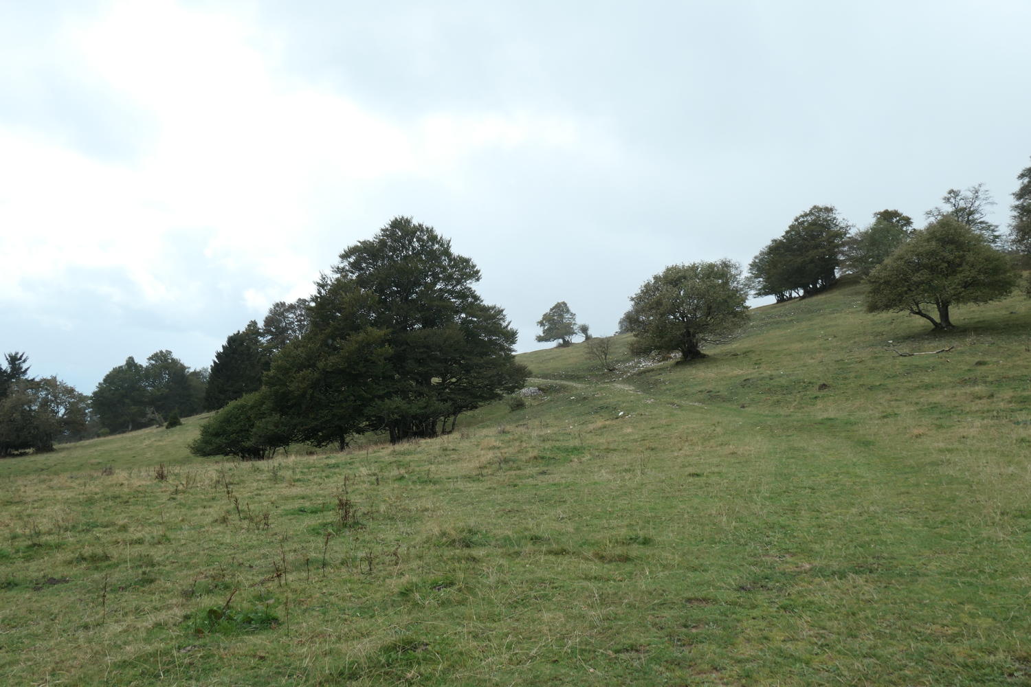 p1001057.jpg
