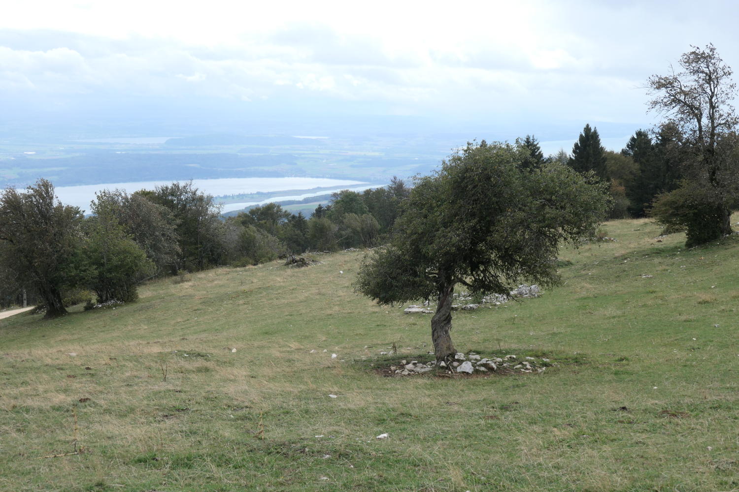 p1001059.jpg