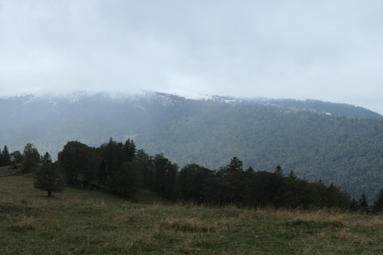 p1001060.jpg