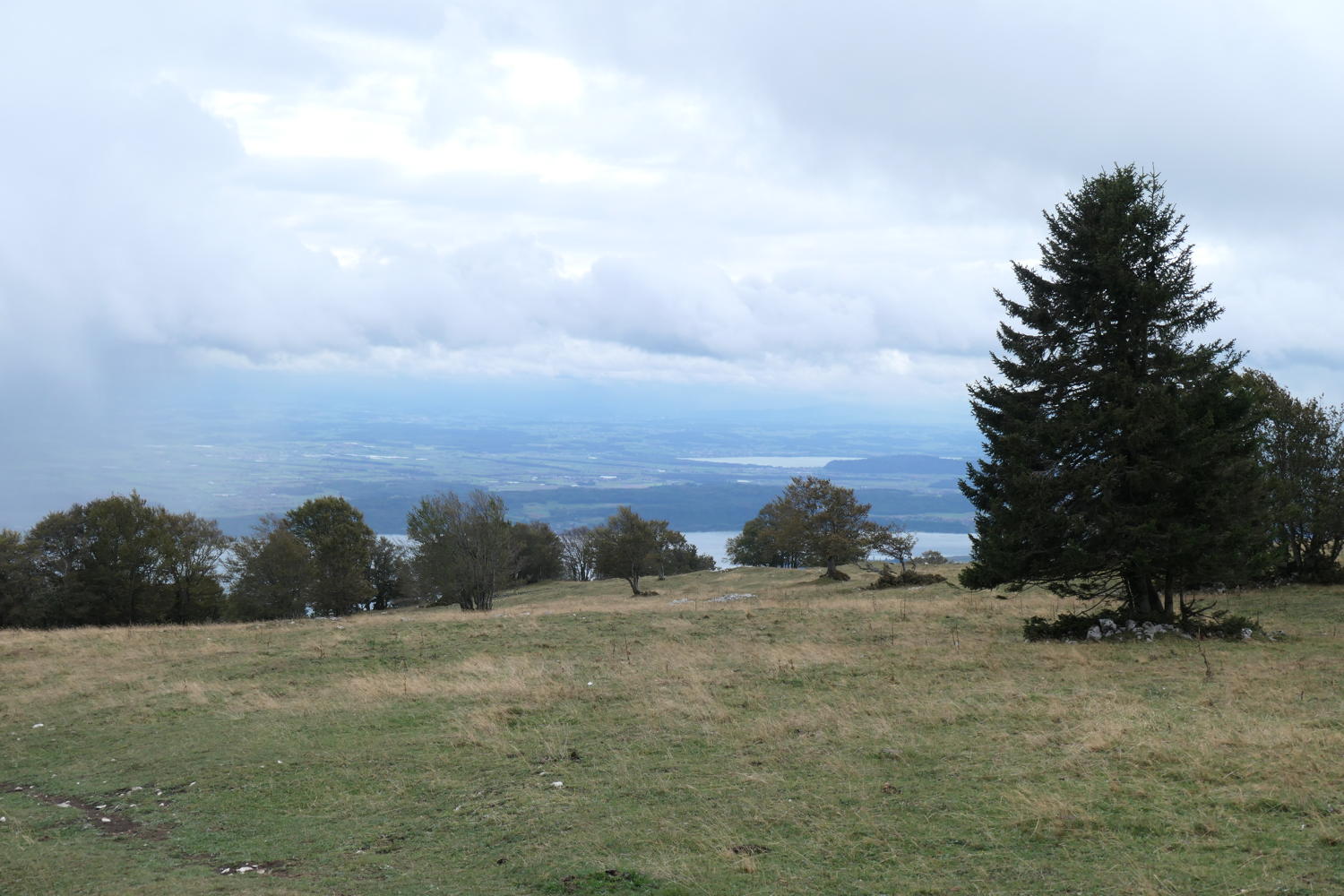 p1001062.jpg