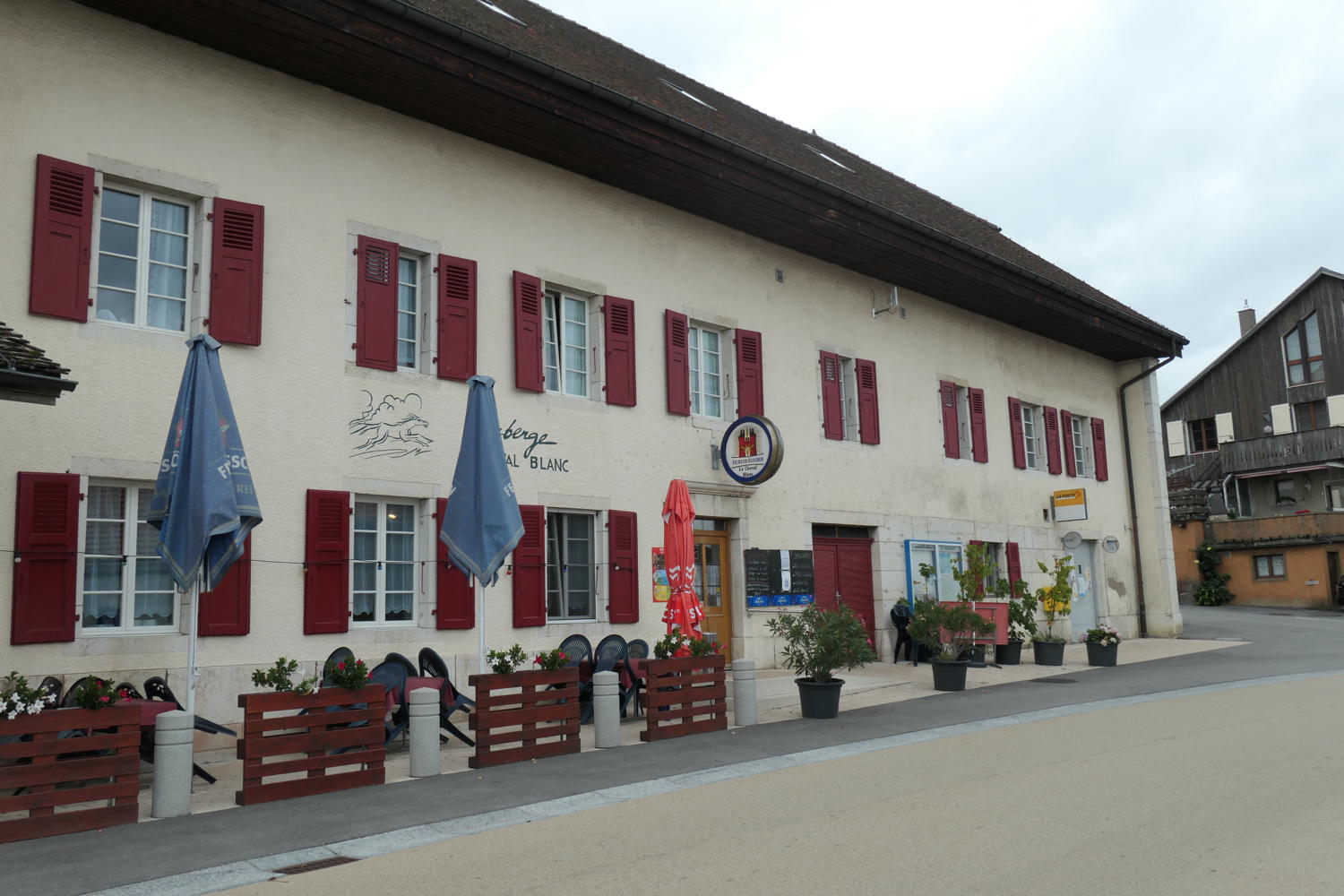 p1001066.jpg