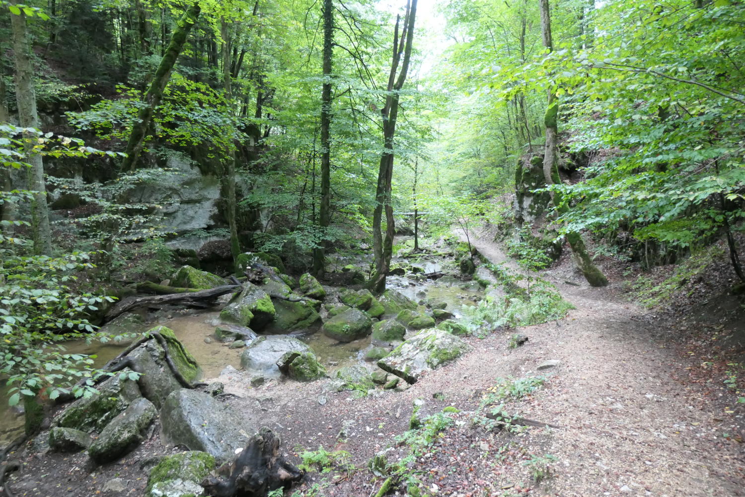 p1001067.jpg