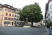 p1001049.jpg