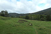 p1001051.jpg