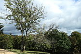 p1001056.jpg