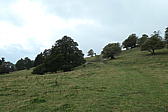 p1001057.jpg