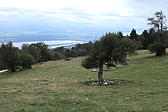 p1001059.jpg