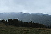 p1001060.jpg