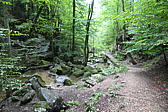p1001067.jpg