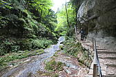 p1001068.jpg