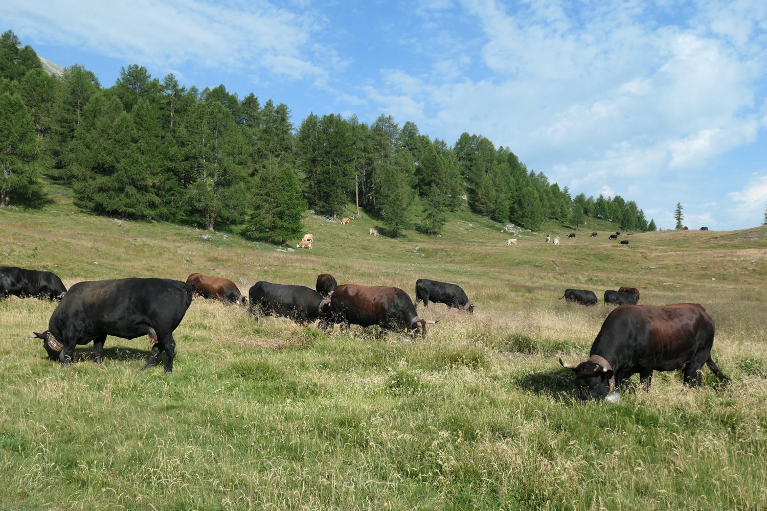 p1000773.jpg