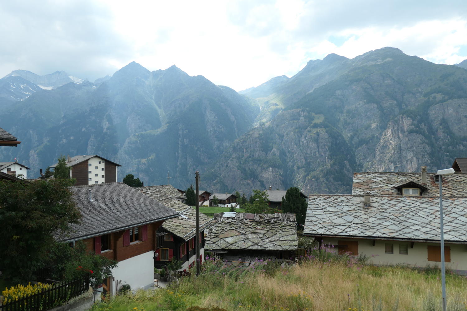 p1000784.jpg