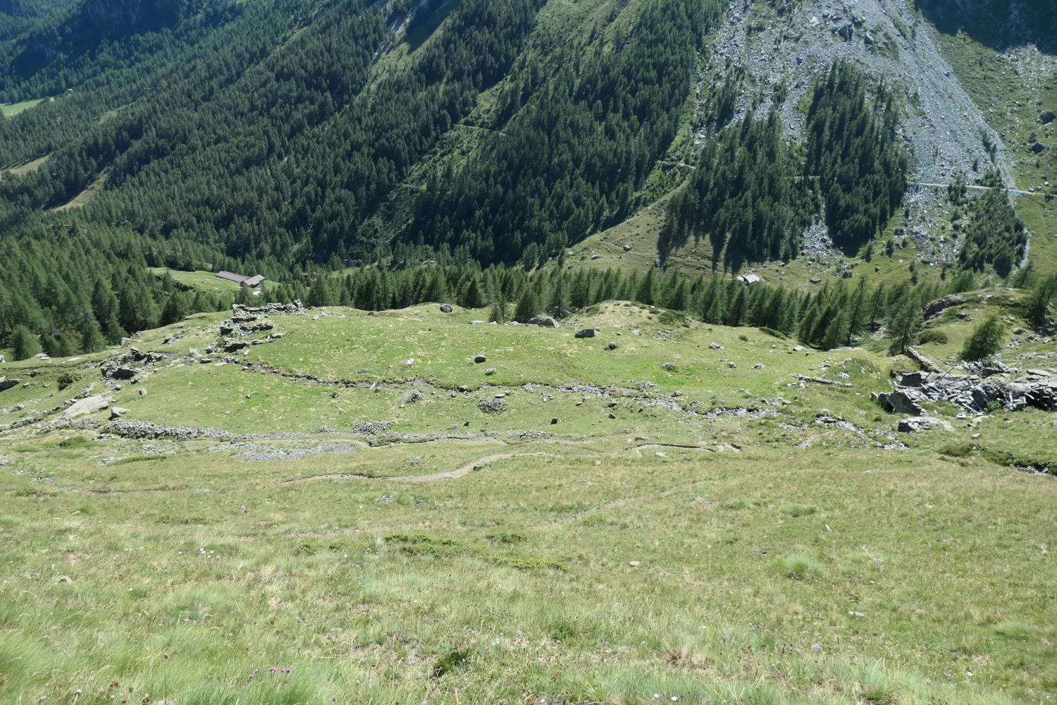 p1000830.jpg