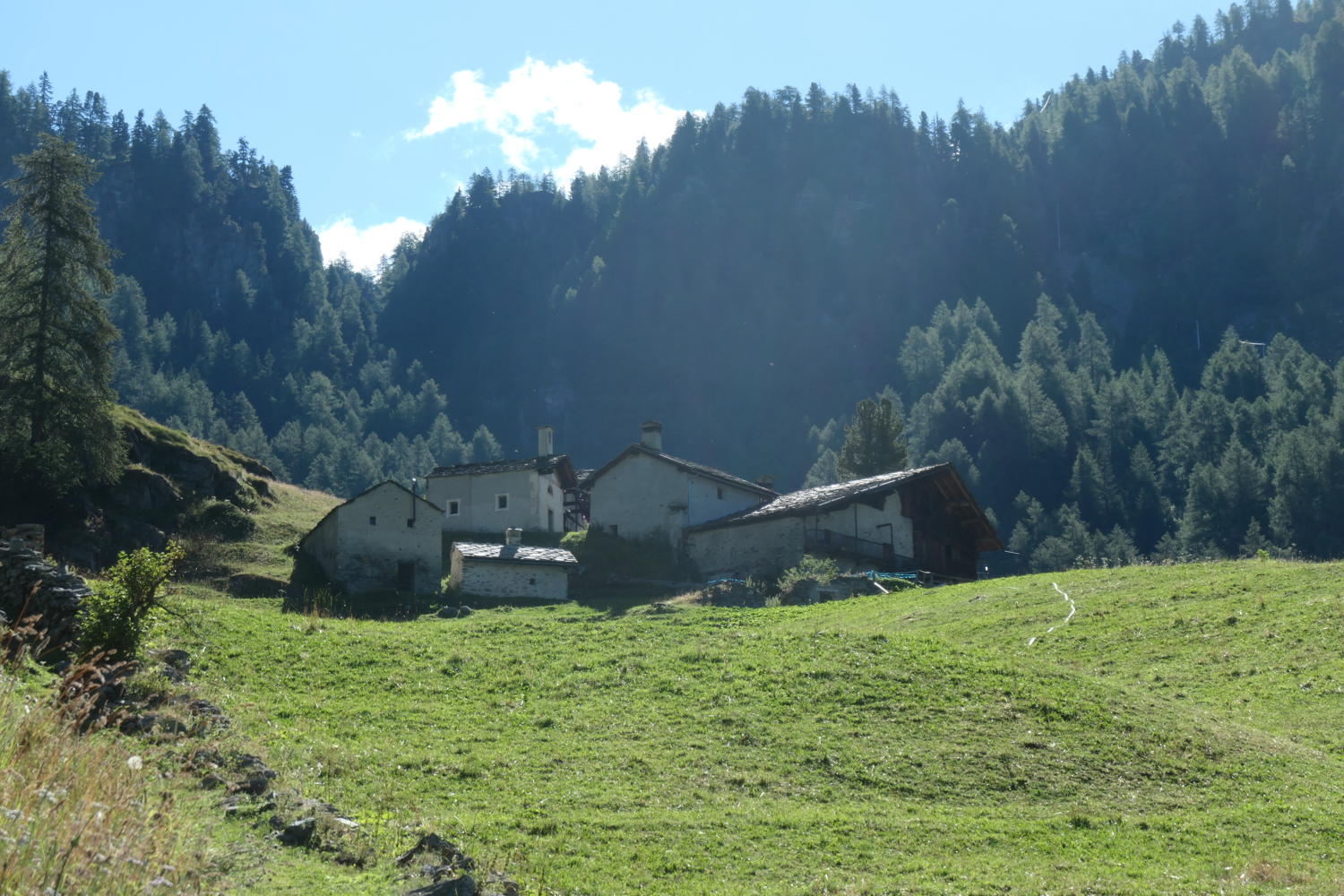 p1000834.jpg