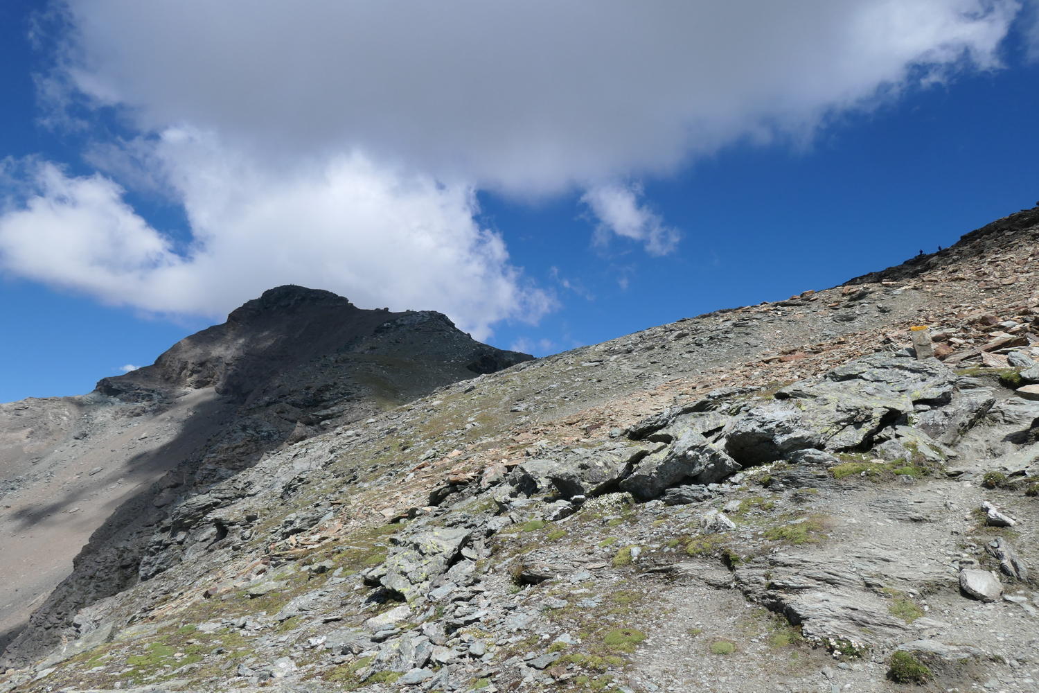 p1000849.jpg