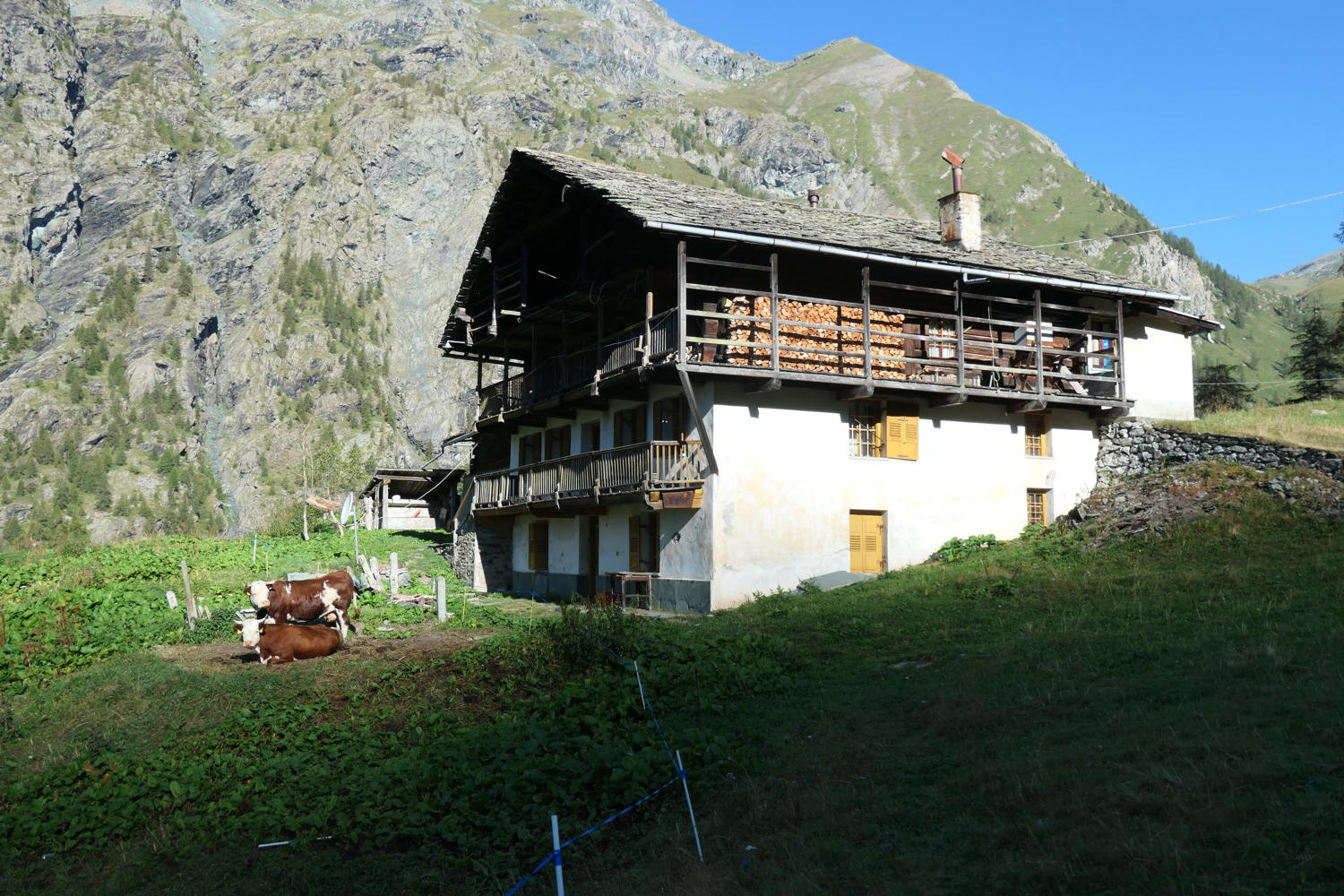 p1000865.jpg
