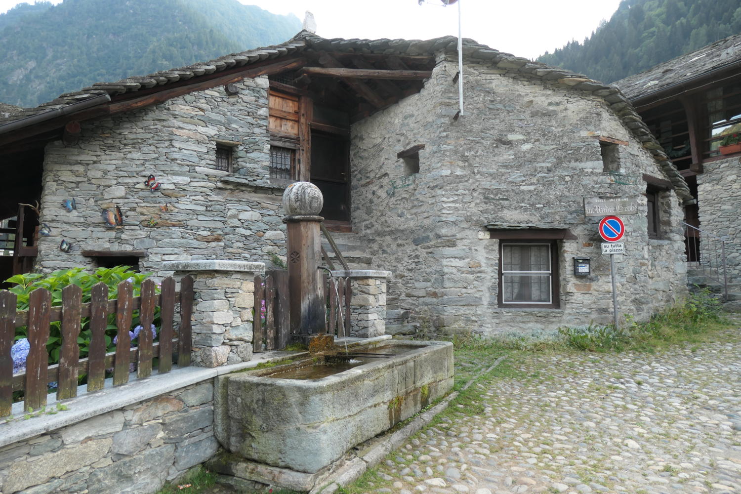 p1000890.jpg