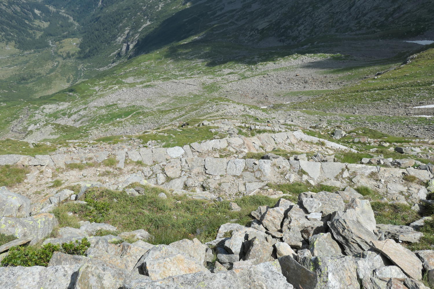 p1000911.jpg