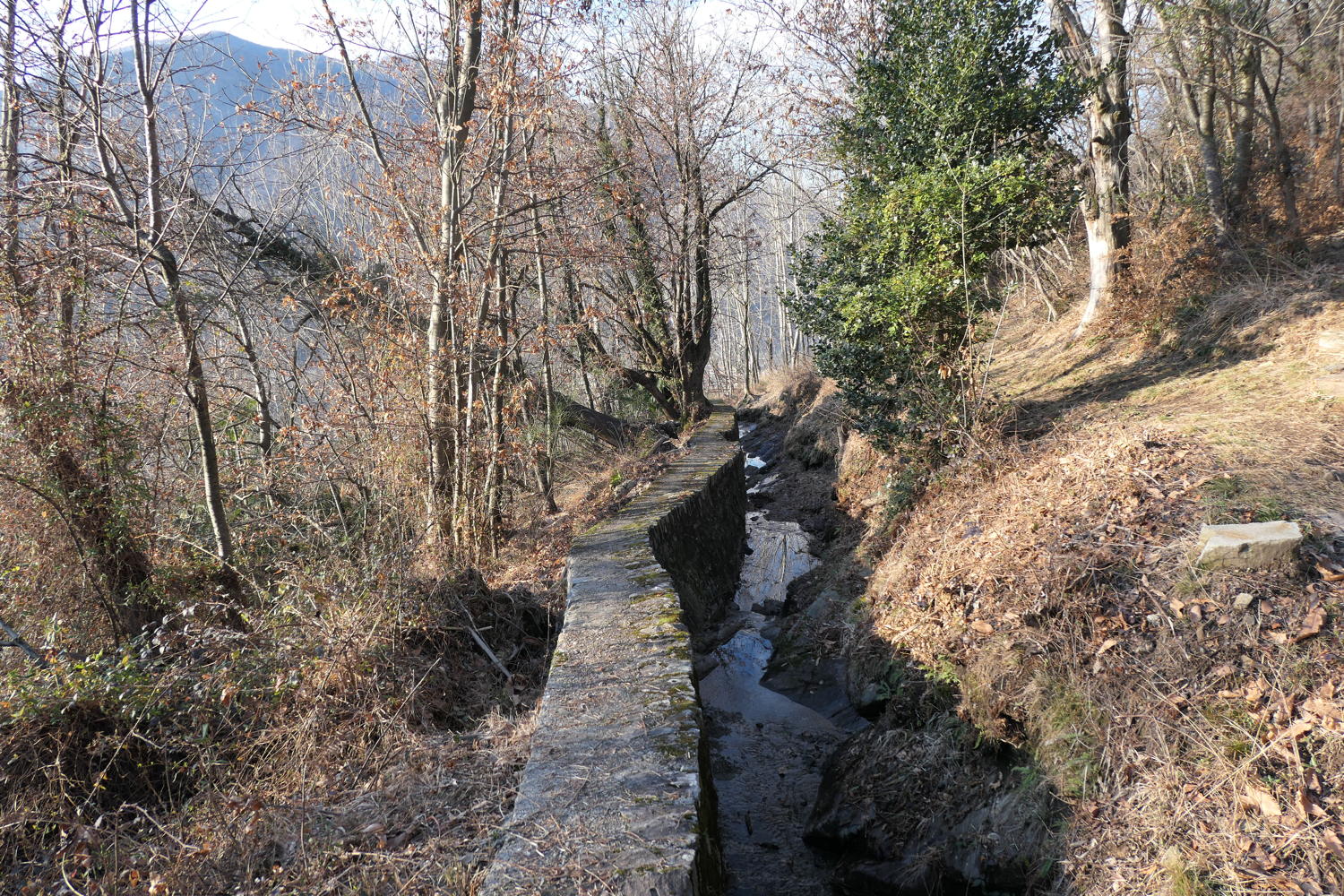 p1030430.jpg