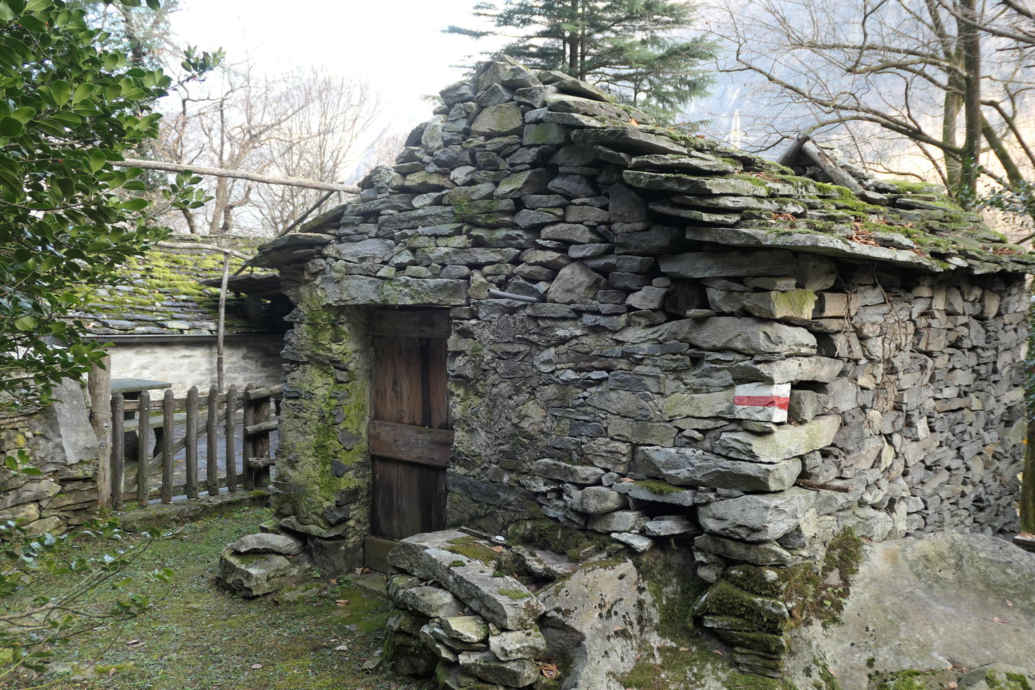 p1030439.jpg