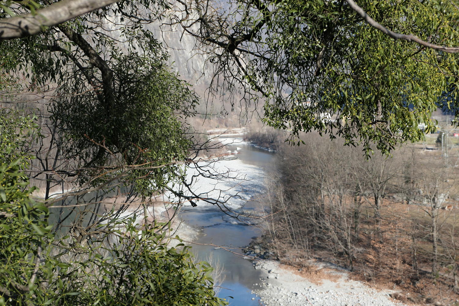 p1030442.jpg