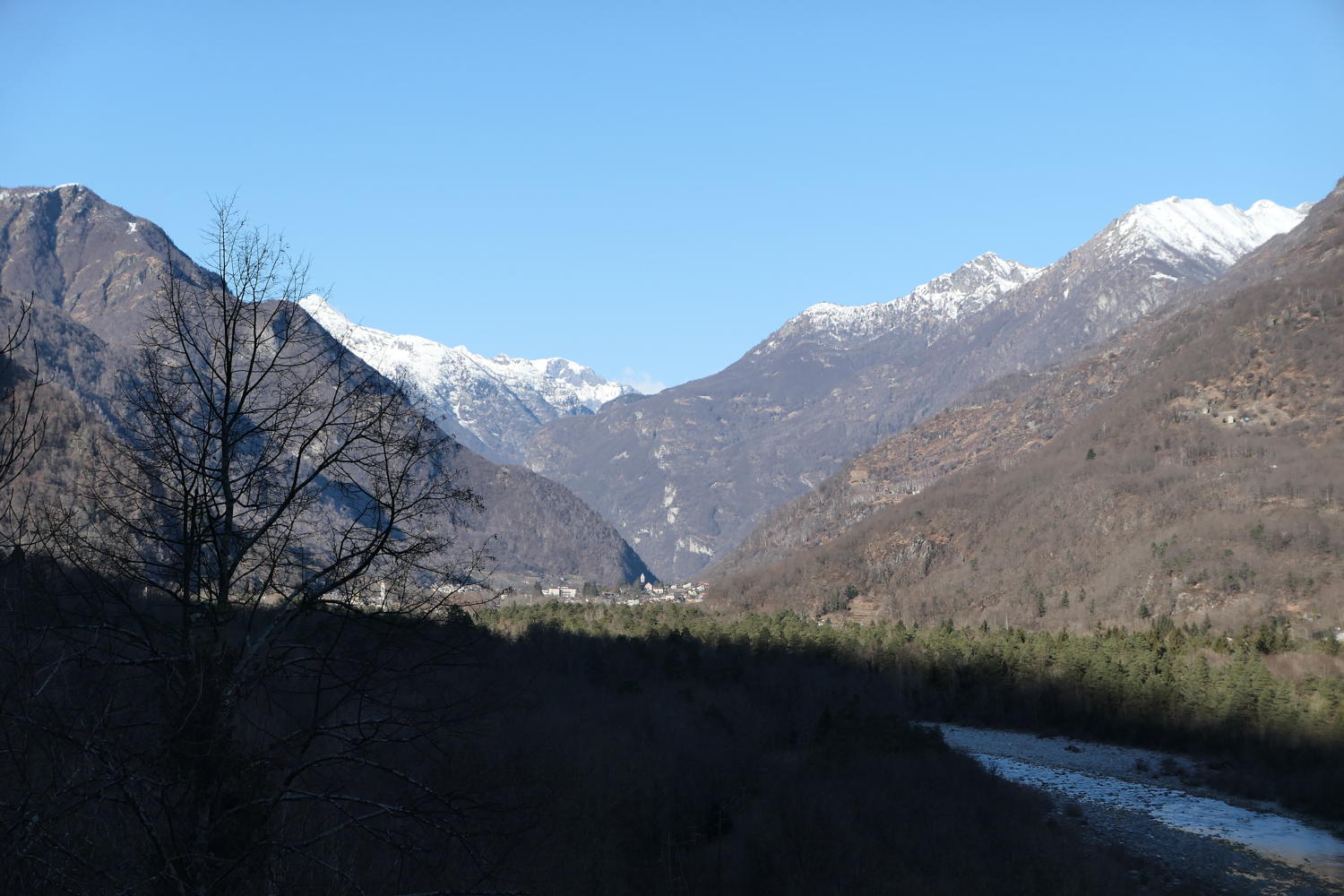 p1030451.jpg