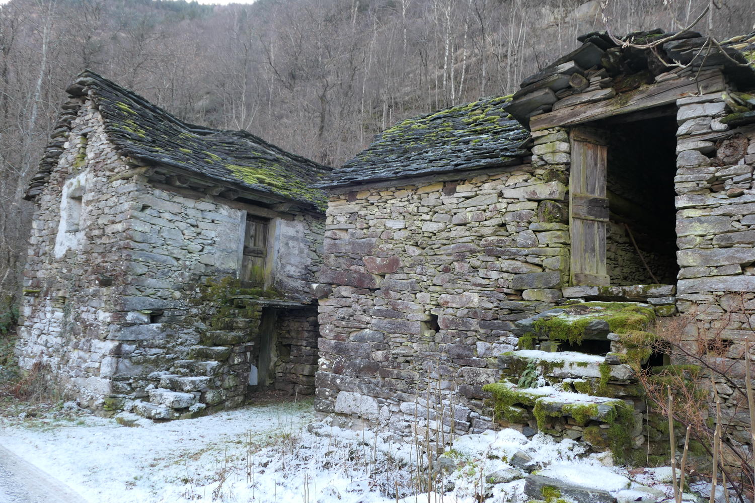 p1030461.jpg