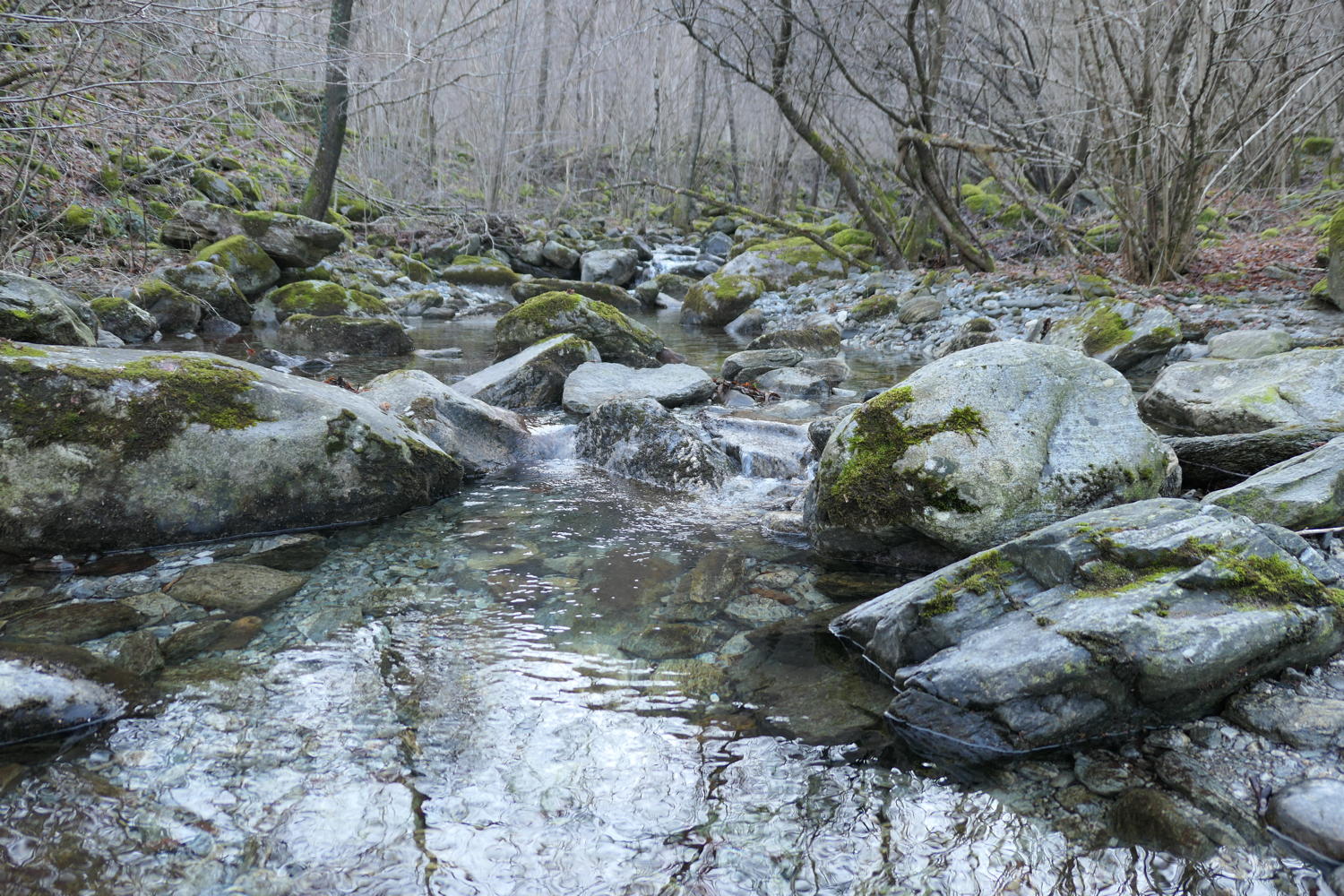p1030465.jpg