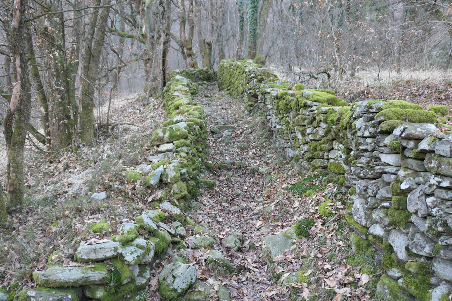 p1030466.jpg