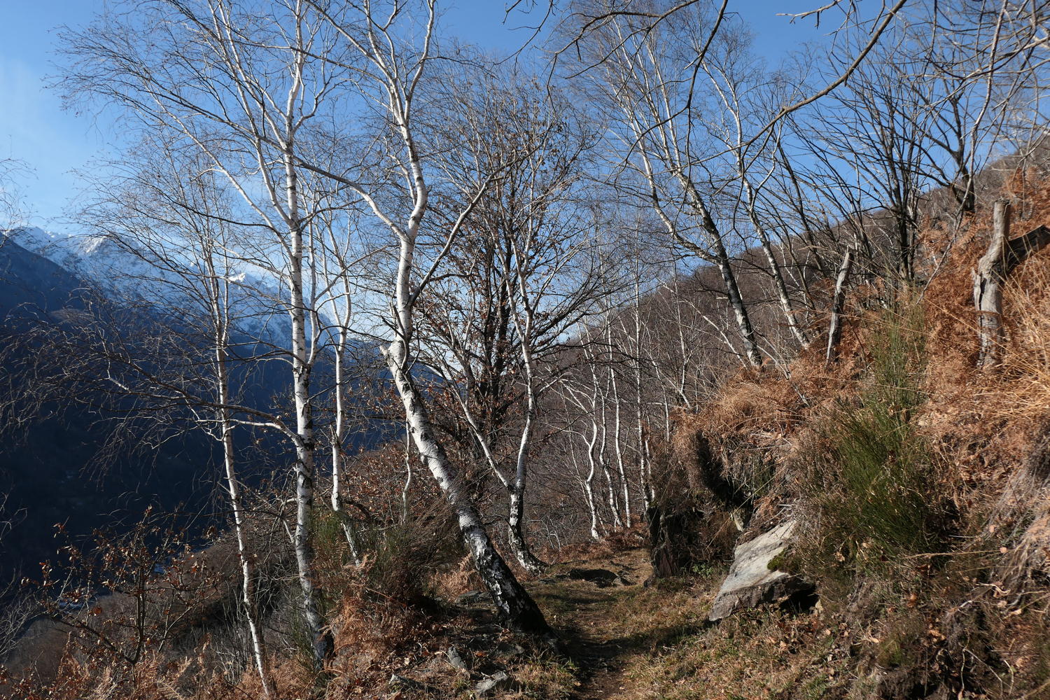p1030509.jpg