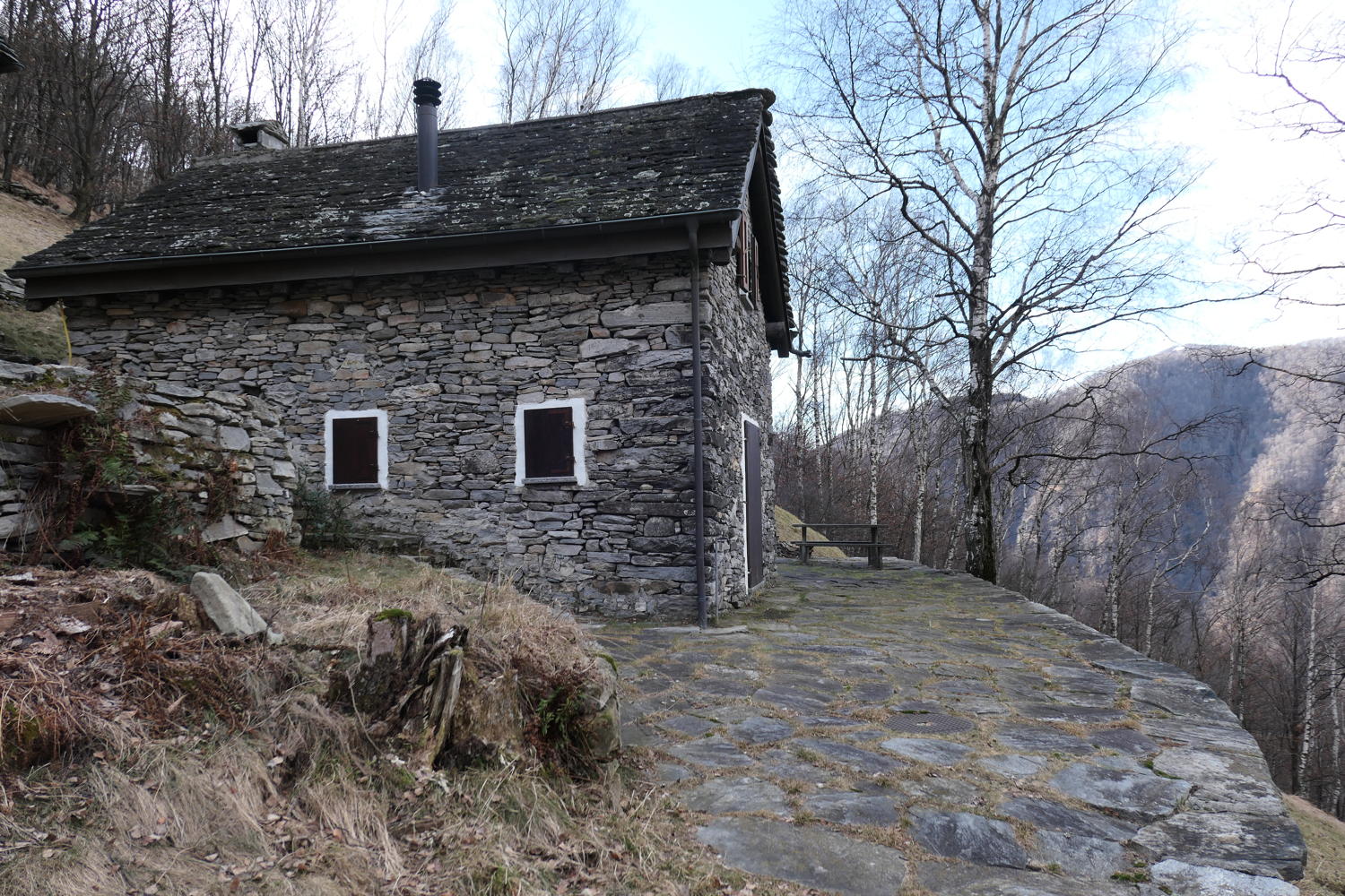 p1030516.jpg
