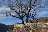 p1030436.jpg